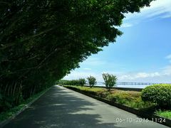 -大湾区中央湿地公园