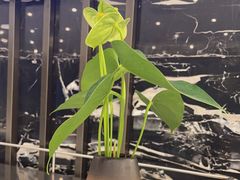 -眉州东坡(清河万象汇店)