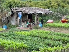 -广东花都湖国家湿地公园
