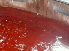 -黄山温泉国际旅游度假区