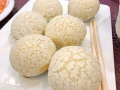 -欢乐海岸美食联盟