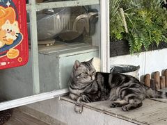 -小时光咖啡馆(北锣鼓巷店)