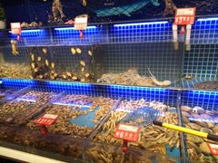 水产区-必点海鲜·鲅鱼水饺(鞍山西道店)