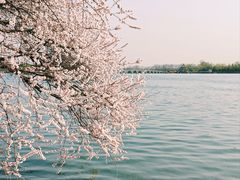 -颐和园