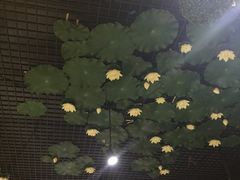 -福慧慈缘素食餐厅(王府井店)