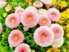 -上海植物园-4号门售票处