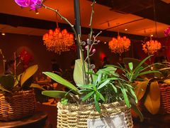 -小河盐帮·私家菜·烤鸭(三元桥·霄云路店)