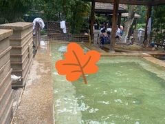 -春晖园度假酒店温泉