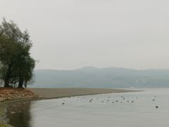 -阳宗海湿地