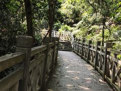 -南宁良凤江国家森林公园