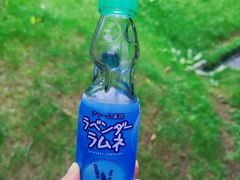 -富田农场