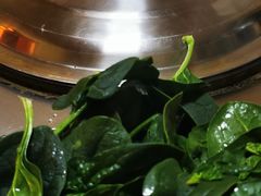 -粘豆包柴火铁锅炖