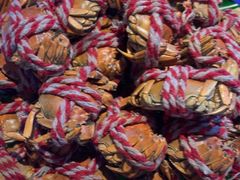 -石家庄万象天成假日酒店