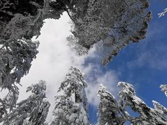 -瓦屋山景区