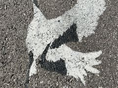 -盐城丹顶鹤湿地生态旅游区