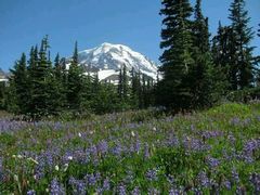 -西涌国际滨海旅游区