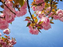 -杭州半山国家森林公园