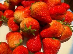 -大渔臻选·渔膳(沈阳万象城店)