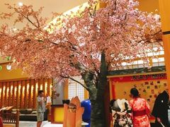 -大江户·温泉洗浴(浑南店)