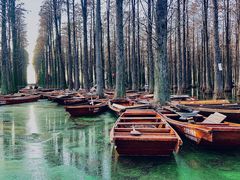 -渌洋湖湿地公园