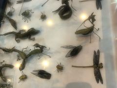 -三亚湾红树林国际会展中心(演出售票)