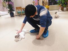 -藏猫猫咖啡主题馆(中央大道店)
