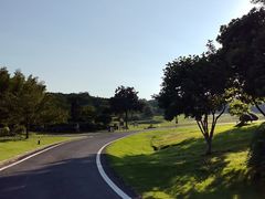 -宜兴龙背山森林公园