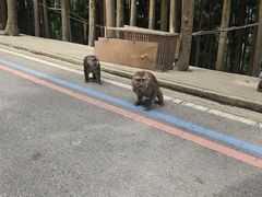 -太阳湾风景区