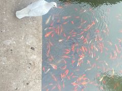 -重元寺香积厨素斋馆