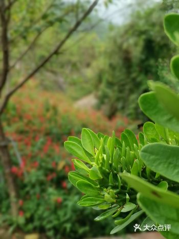 整体来说景色还是相当优美的，只是现在季节不是很对