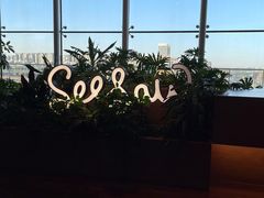 -Seesaw Coffee(朝阳大悦城店)