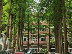 -上海科学技术职业学院