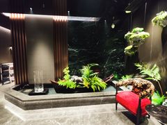 -湯記傳菜