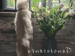 -老屋咖啡