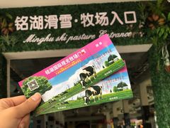 -大连铭湖国际观光牧场