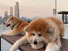 -blend咖啡部落(车公庙店)