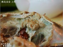 盖子-海岛渔村大酒店(云霄路店)