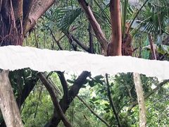 -广州长隆野生动物世界