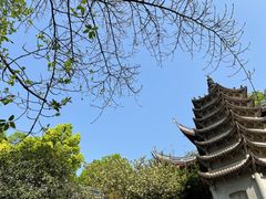 -涂山寺素食餐厅