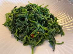 护肝桑叶苗-归元·云集斋素菜馆