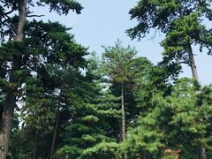 -沈阳市东陵公园