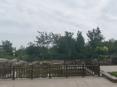 -绿岛公园(滨海新区)