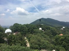 -紫金山天文台