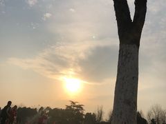 -杭州城北体育公园