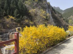 -黄花溪
