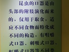 -上海昆虫博物馆