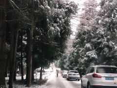 -武陵山森林公园