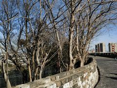 -南京城墙景区