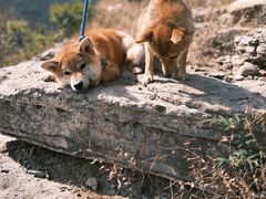 -龙洞风景区-藏龙涧