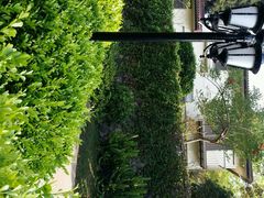 android_upload_pic-厦门悦华酒店